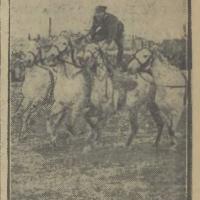 Dzigitówki, 1938