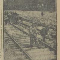 Mokotów w zieleni, 1938