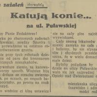 Katują konie