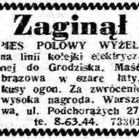 Zaginął wyżeł, 1943