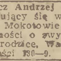 Poszukiwania: Stańczyk, 1945