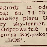 Zaginął Bosio, 1947