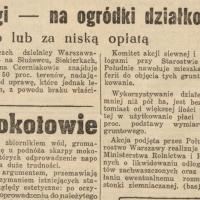 Odłogi na ogródki, 1950