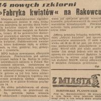 Fabryka kwiatów, 1951