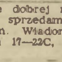 Skrzypce 1663, 1953
