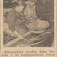 Przerzucanie łososi, 1953