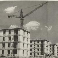 Wierzbno w budowie, 1958