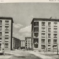 Wierzbno B, 1958