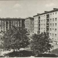 Wierzbno w budowie, 1958