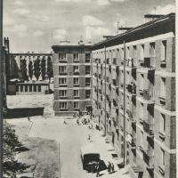 Wierzbno w budowie, 1958