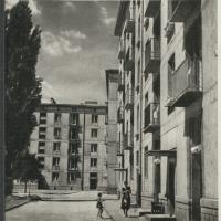 Wierzbno w budowie, 1958