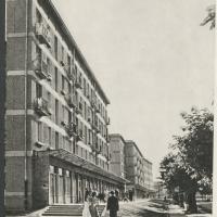 Odyńca 1958