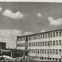 Wierzbno w budowie, 1958