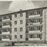 Wierzbno w budowie, 1958