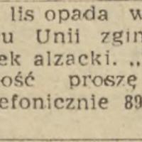Tarzan zaginął, 1958