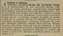 Zapomniał słonia