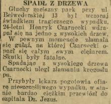 Wypadek w parku Promenada. Henryk Czarnecki spadł z drzewa. 1929.