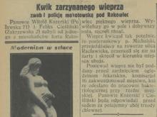 Krzyk wieprza, 1931