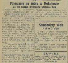 Polowanie na żubry, 1931