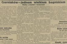 Czerniaków bagniskiem, 1931