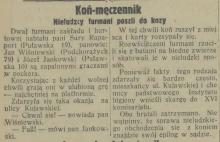 Nieludzccy furmani, 1931
