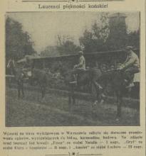 Premjowanie ogierów, 1933