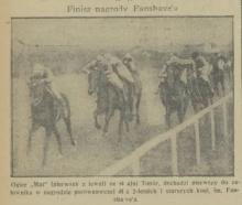 Nagroda Fanshave'a, 1933