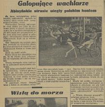 Galopujące wachlarze, 1936