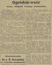 Ogródek wzór, 1937