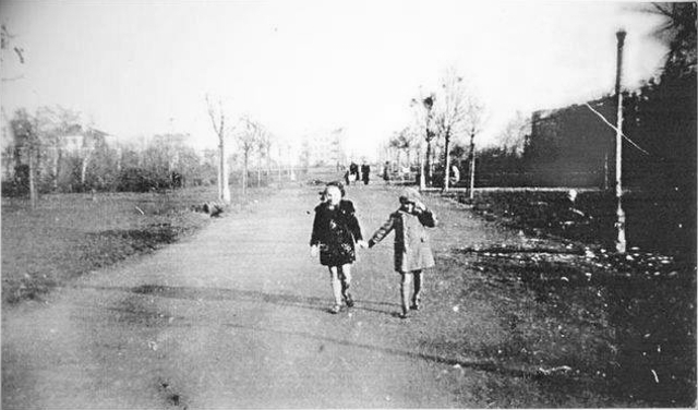 Park Dreszera, 1939 Park Dreszera, 1939