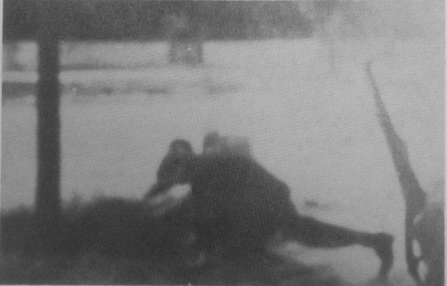 Szustra, 1944 Szustra, 1944
