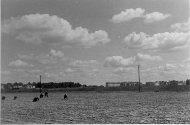Woronicza, ok. 1944