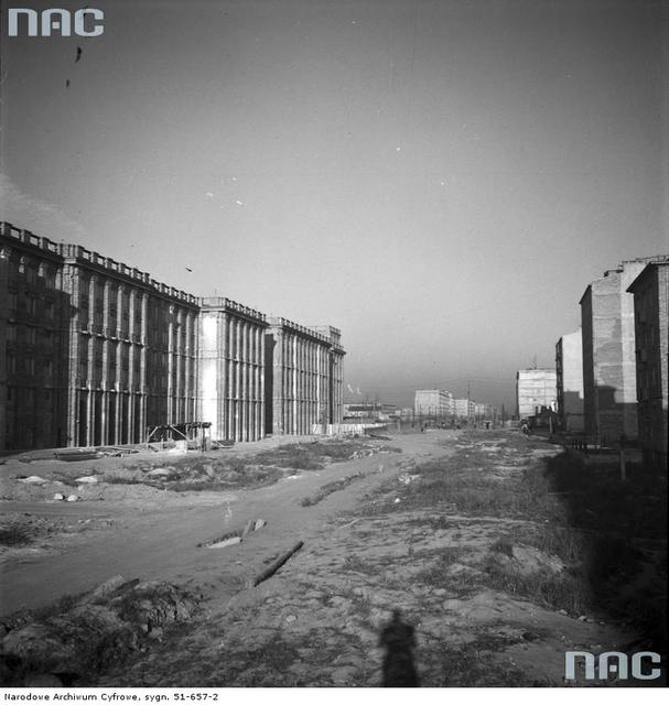 Al. Niepodległości, 1954