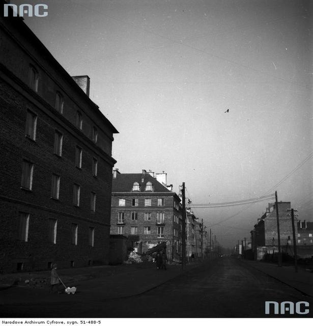 Sielecka, 1955