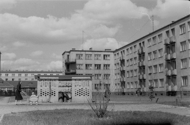 Sielce w rejonie Gagarina, 1957