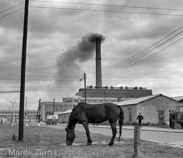 EC Siekierki, 1961