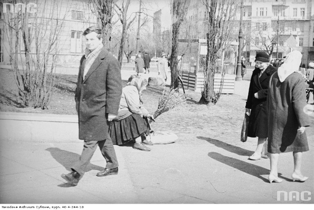 Okolice Supersamu, 1967