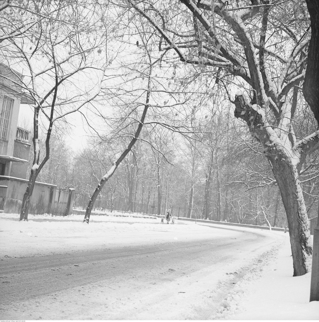 Zima na Podchorążych, 1980