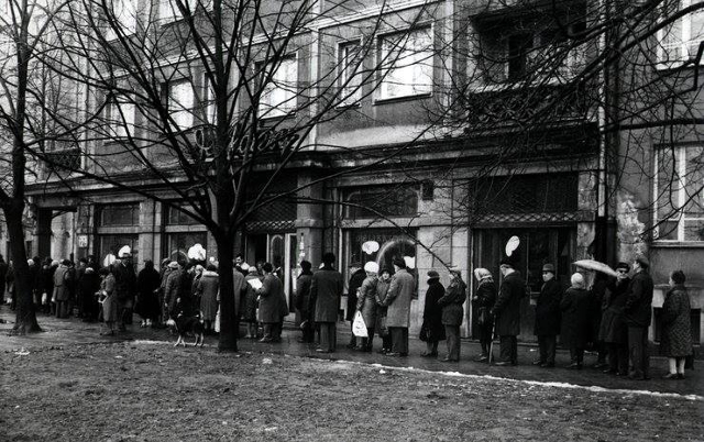 Al. Niepodległości 129, 1981 Al. Niepodległości 129, 1981