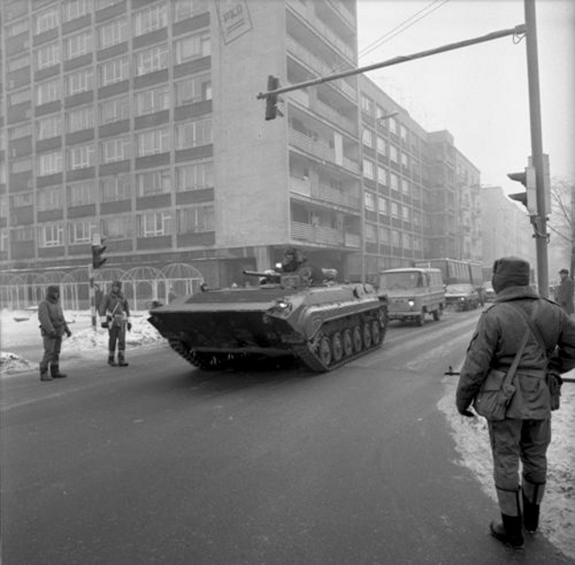 Puławska 19, 1981