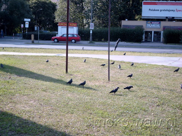 Św. Bonifacego, 2004