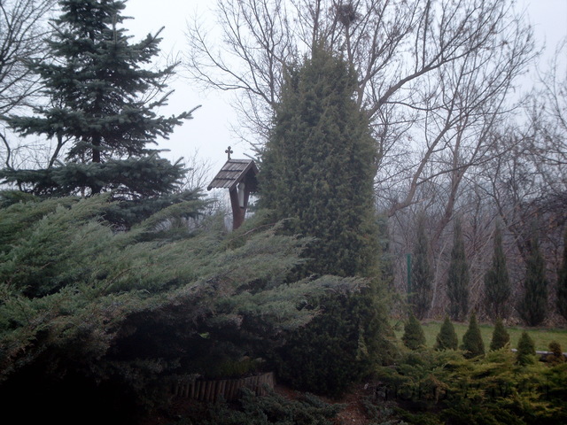 Al. Wilanowska, MHRL, 2004