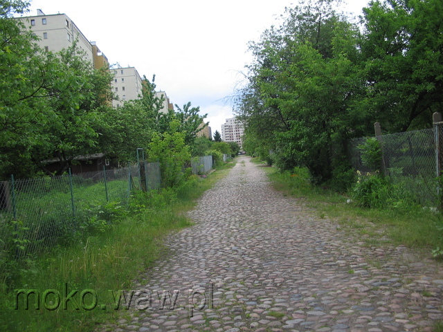 Wężyka, 2006 Wężyka, 2006