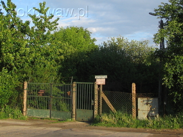 Wojskowej Służby Kobiet, 2006