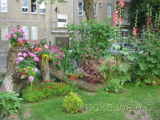 Asfaltowa, 2006 Asfaltowa, 2006