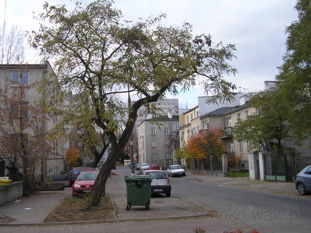 Pytlasińskiego, 2007 Pytlasińskiego, 2007