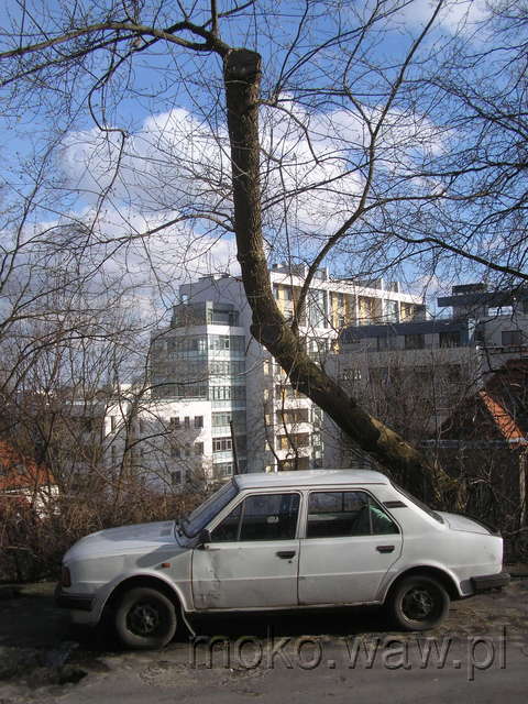 Belgijska, 2008