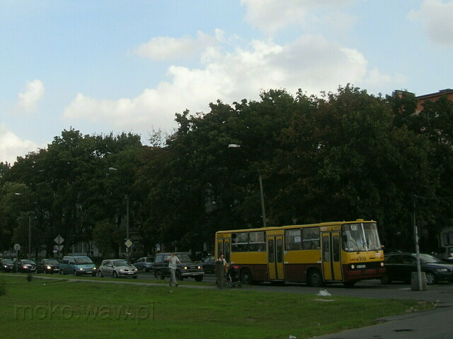 Odyńca, 2008 Odyńca, 2008