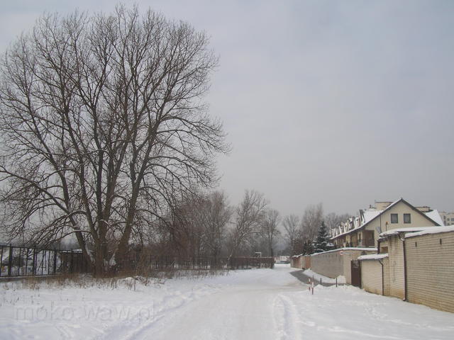 Barbary Ludwiżanki, 2009