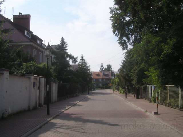 Kąkolewska, 2009